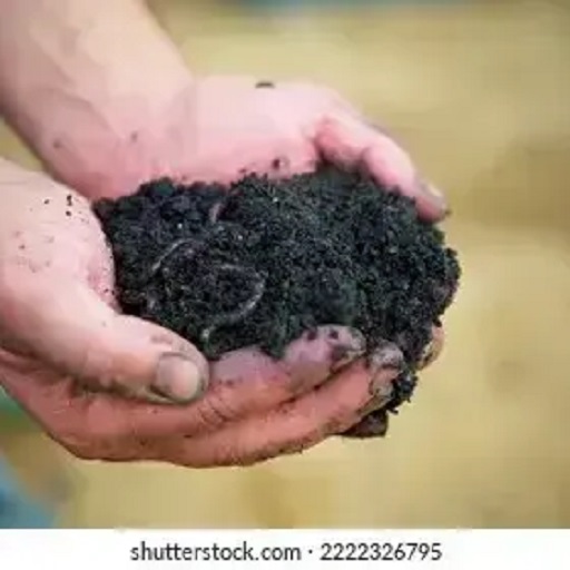 Organic VERMICOMPOST 25KGS